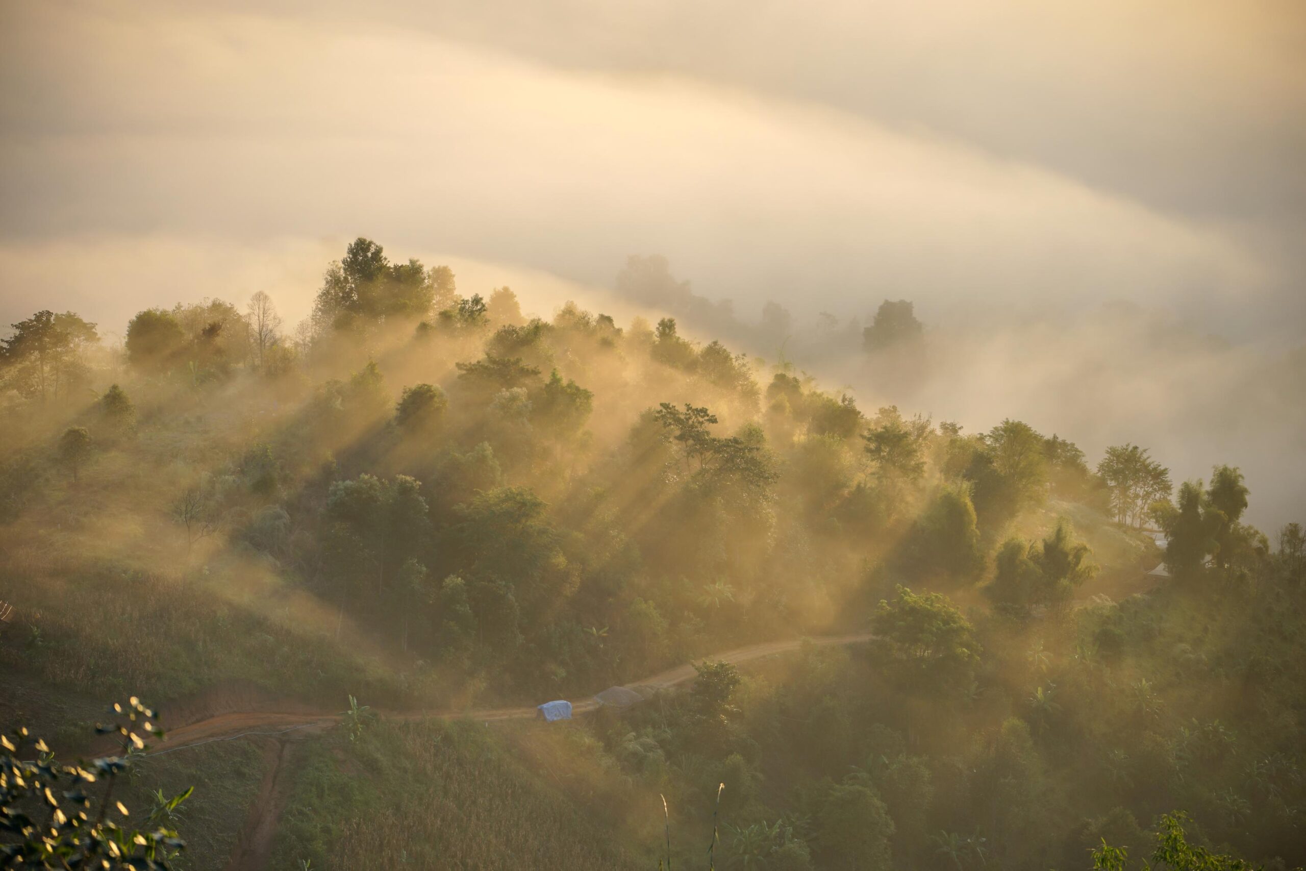 Private Transfer service from Nha Trang to Da Lat | 4-seat, 7-seat, 16-seat air-conditioned cars