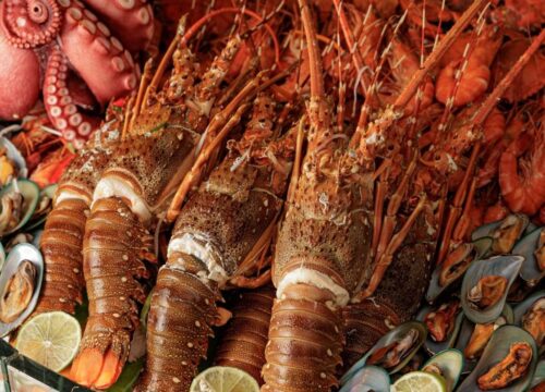 5 Must-Try Seafood Buffets in Nha Trang